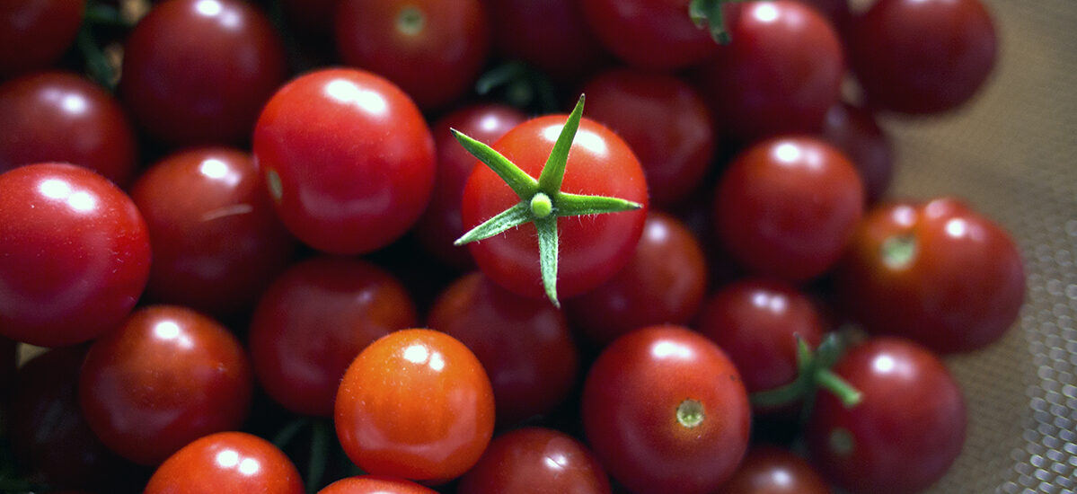 Sauce tomate de quartier